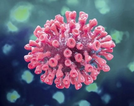 意大利男子死后连续28次阳性，新冠病毒可以在死者身上存活多久呢？