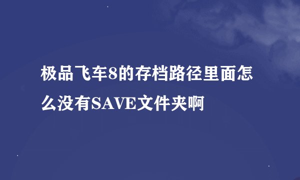 极品飞车8的存档路径里面怎么没有SAVE文件夹啊