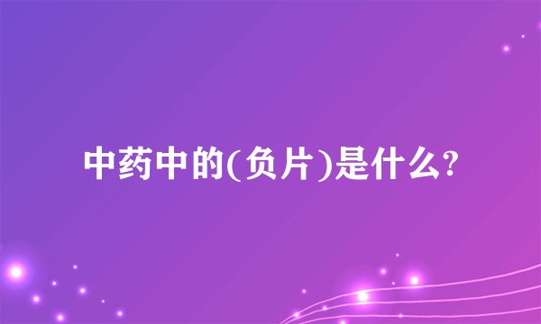 中药中的(负片)是什么?