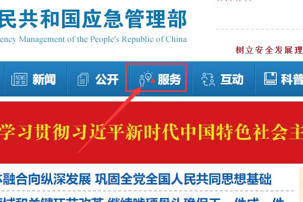 安监局电工证查询网址？