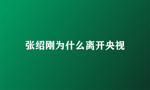 张绍刚为什么离开央视