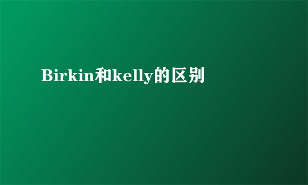 Birkin和kelly的区别