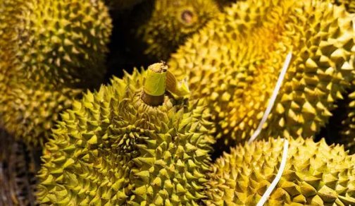 《蚂蚁庄园》哪两种水果是夫妻果?