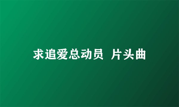 求追爱总动员 片头曲