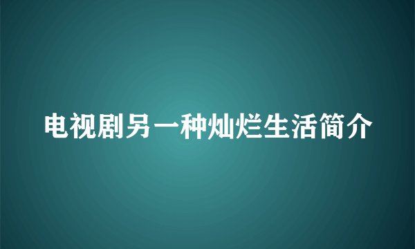 电视剧另一种灿烂生活简介