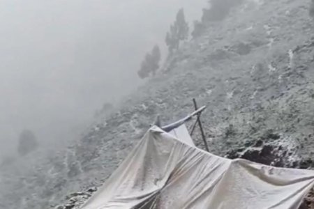 甘肃肃南七月飞雪，有牧民帐篷被压塌，今年的天气为何如此异常？