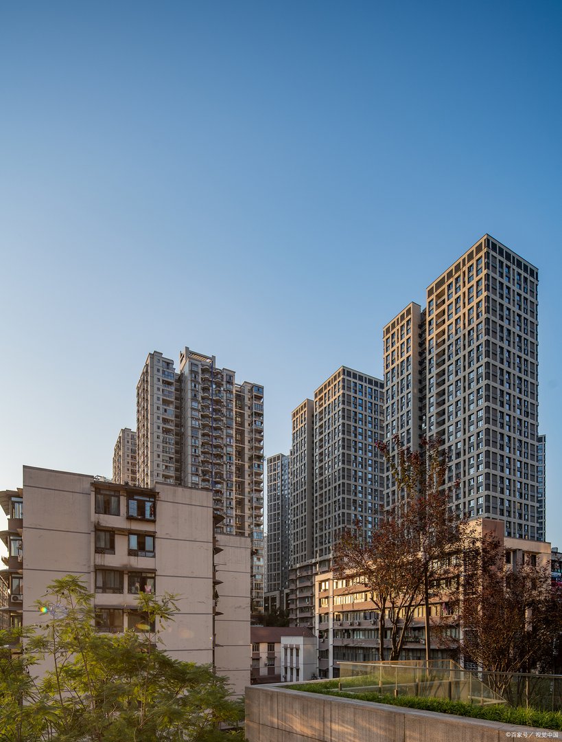 任泽平被传在苏州“摇号买房”，此事是否属实？