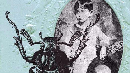 文学史上四部《变形记》分别是