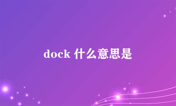dock 什么意思是