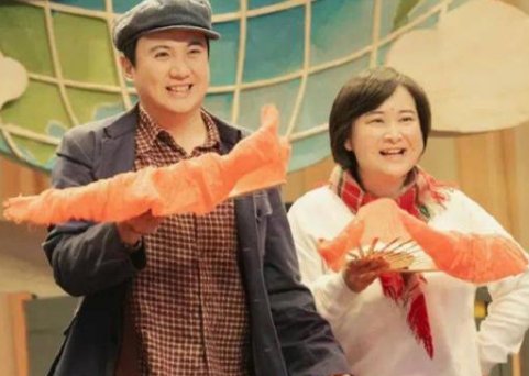 沈腾老婆王琦账号评论区被攻陷,你怎么看待?