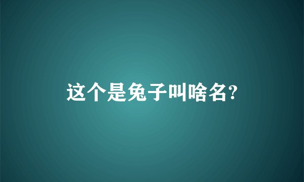 这个是兔子叫啥名?