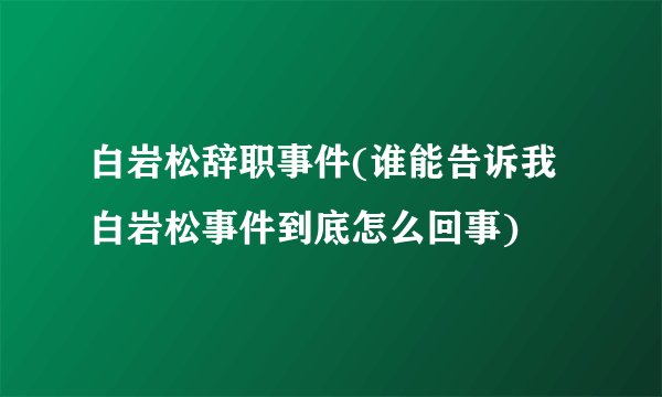 白岩松辞职事件(谁能告诉我白岩松事件到底怎么回事)