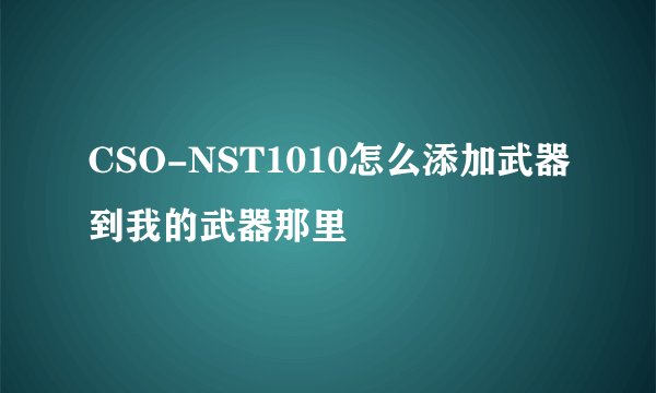 CSO-NST1010怎么添加武器到我的武器那里
