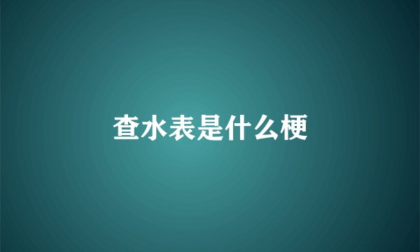 查水表是什么梗
