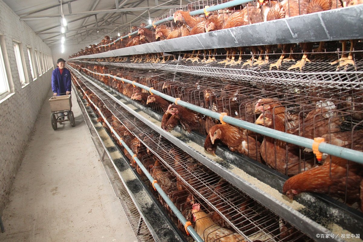 为什么说容不下的城市，回不去的农村？农村真的回不去，还是其他原因？