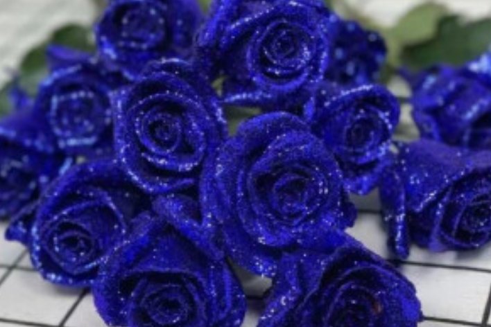 蓝色妖姬是如何制作的