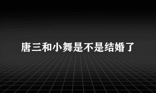 唐三和小舞是不是结婚了