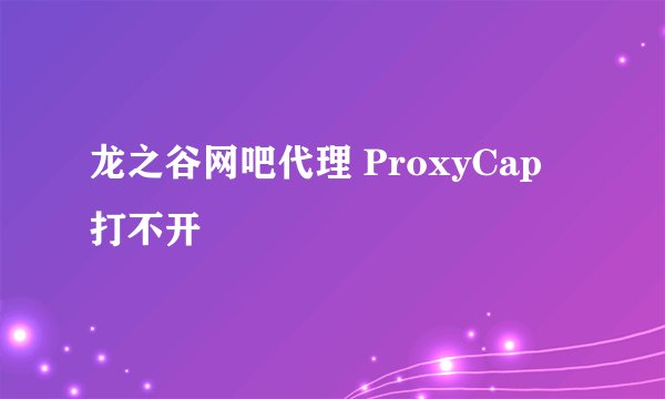 龙之谷网吧代理 ProxyCap 打不开