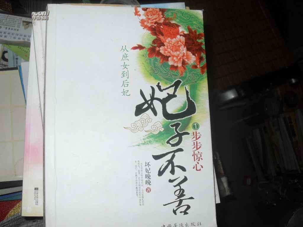 从庶女到后妃：妃子不善的作品目录