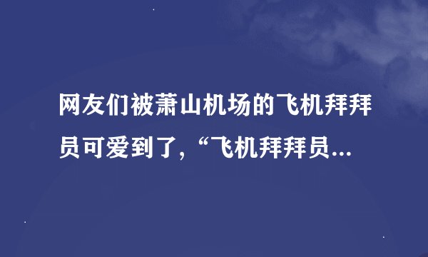 网友们被萧山机场的飞机拜拜员可爱到了,“飞机拜拜员”究竟是何...
