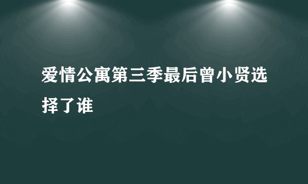 爱情公寓第三季最后曾小贤选择了谁