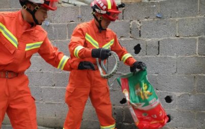 深圳2米长的眼镜王蛇窜入居民小区，如何避免与蛇相遇？