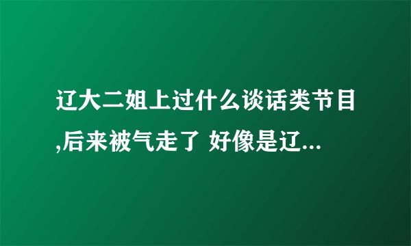 辽大二姐上过什么谈话类节目,后来被气走了 好像是辽宁卫视的 节目叫什么名字???