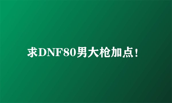 求DNF80男大枪加点！