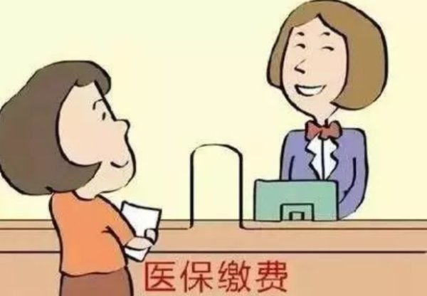 医保怎么自己缴费