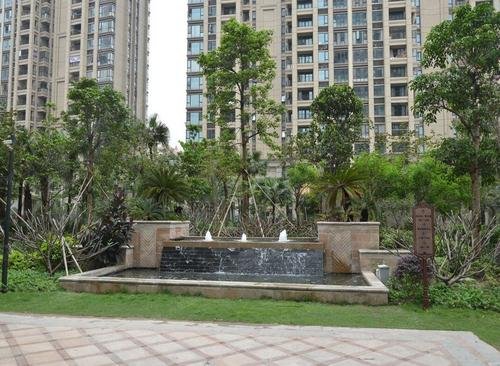 3万在鹤岗买房的小哥赔8千，他当初买房的目的是什么？