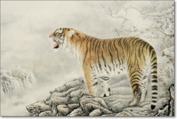 老虎为何叫大虫？