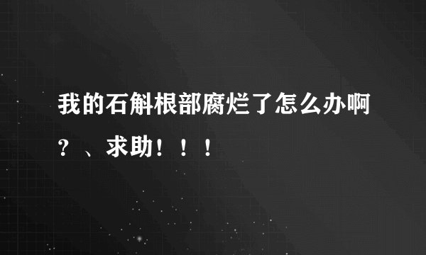 我的石斛根部腐烂了怎么办啊？、求助！！！
