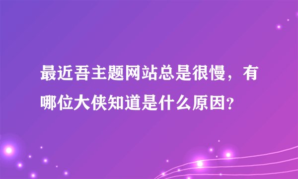 最近吾主题网站总是很慢，有哪位大侠知道是什么原因？