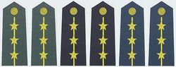 如何区分军人肩膀上的肩牌级别