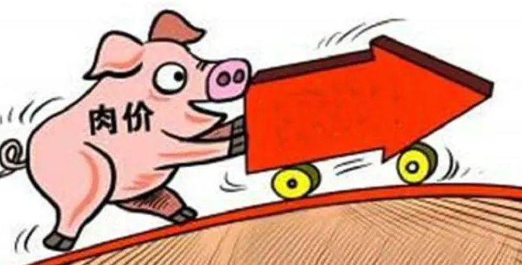 国家发改委两天三次出手稳猪价，猪价还会继续上涨吗？