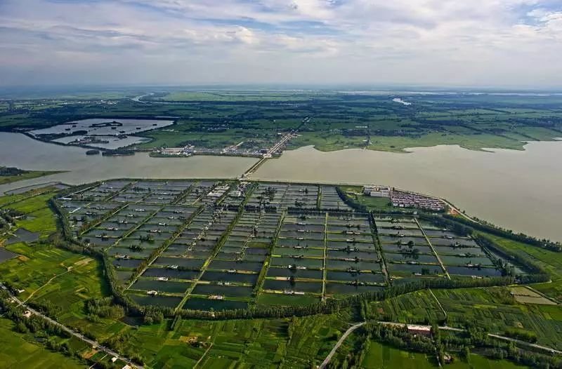 王家坝做了什么？为何全网都在感谢王家坝？