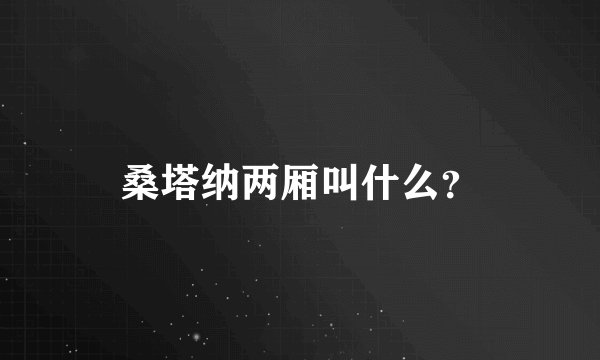 桑塔纳两厢叫什么？