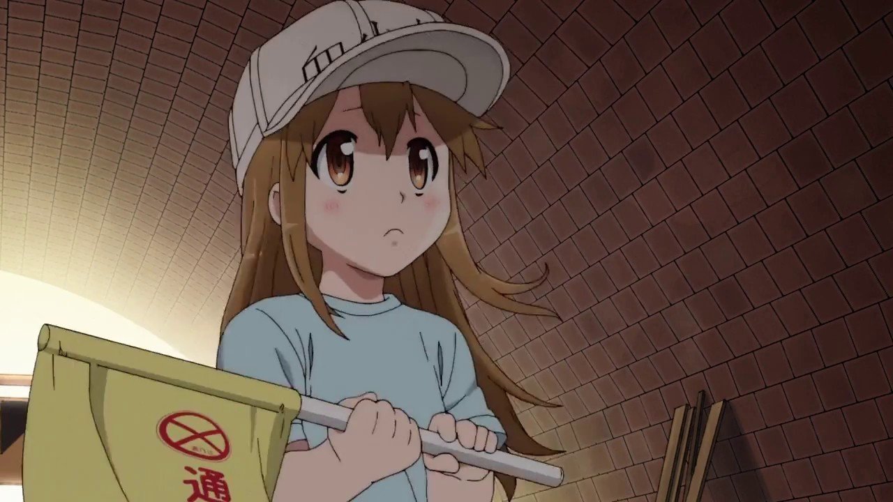 如何评价新番《工作细胞》？