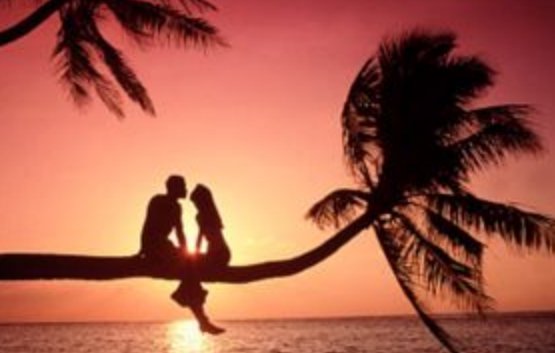 代表廖昌永称年轻偶像不要迷失自我，你认可他的观点吗？