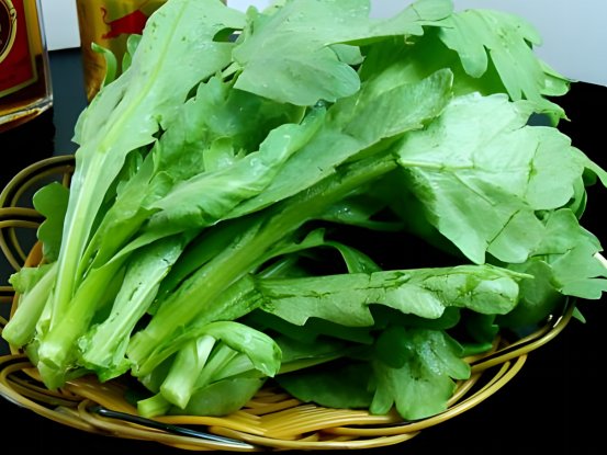 筒篙菜的产地在哪里