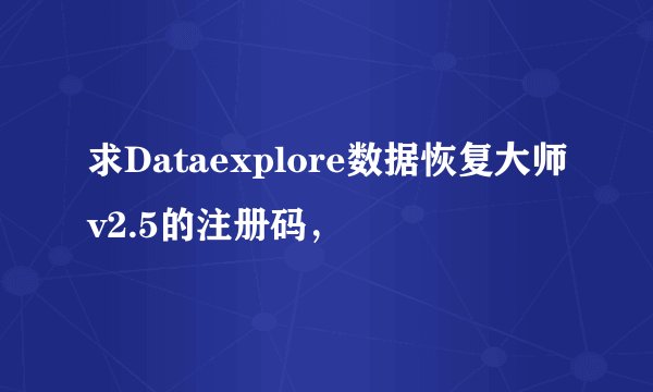 求Dataexplore数据恢复大师v2.5的注册码，