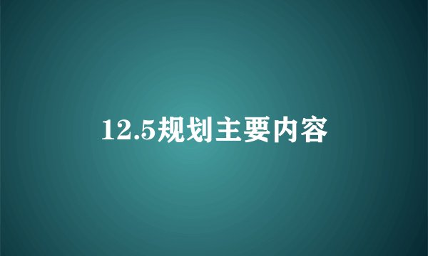 12.5规划主要内容