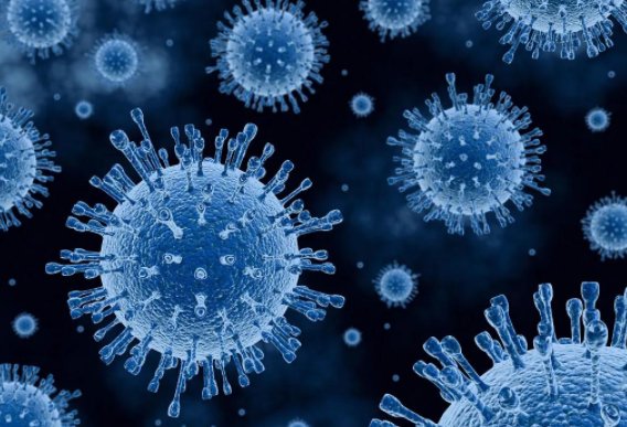 意大利男子死后连续28次阳性，新冠病毒可以在死者身上存活多久呢？