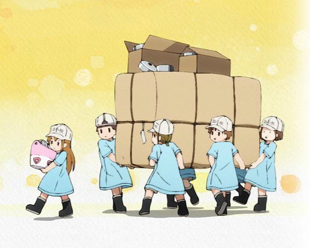 如何评价新番《工作细胞》?