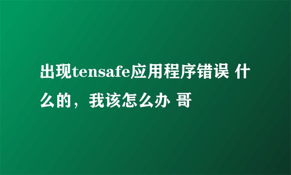 出现tensafe应用程序错误 什么的，我该怎么办 哥