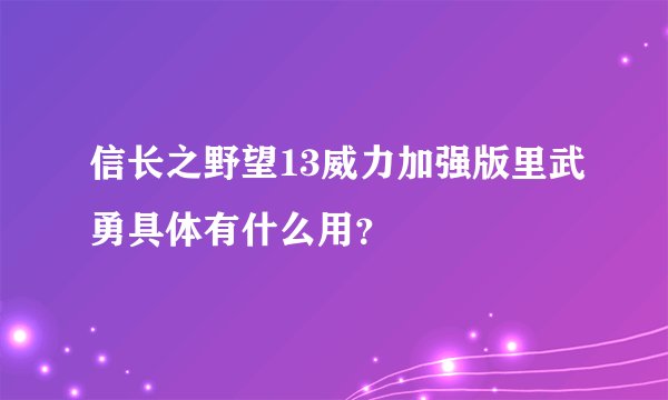 信长之野望13威力加强版里武勇具体有什么用？