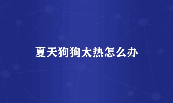 夏天狗狗太热怎么办