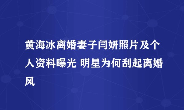 黄海冰离婚妻子闫妍照片及个人资料曝光 明星为何刮起离婚风