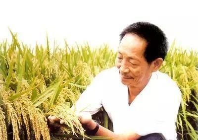 ”袁花花还没长大“引热议，袁花花是谁？