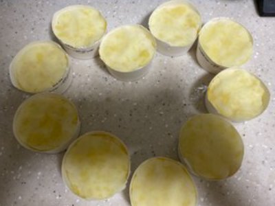 山蟑螂吃蚕应该怎么处理该用什么药